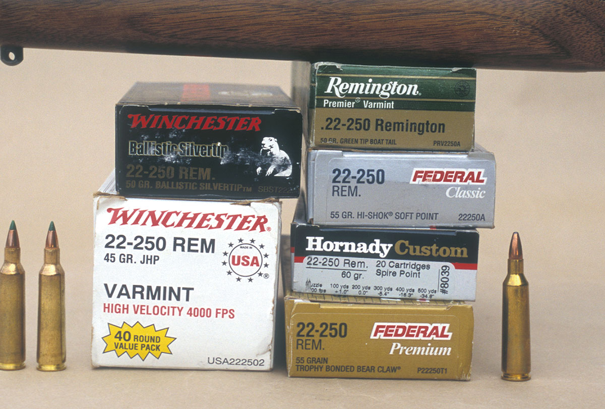 For velocity comparison, Brian fired a variety of factory  .22-250 Remington loads.